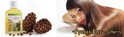 Эфирное Кедровое масло для Ваших волос
